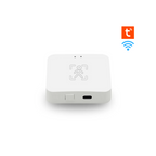 Tuya Smart Human Presence Sensor, Wi-Fi Type-C Port 