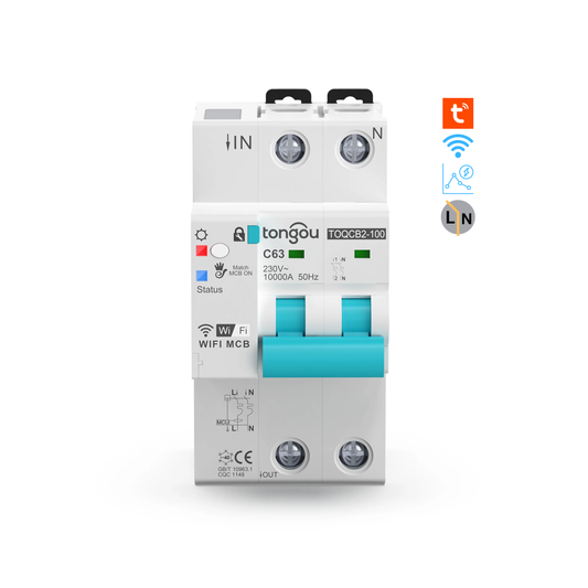 قاطع دائرة ذكي ١-٦٣ امبير  WiFi منزلي 2P مع قياس وحماية