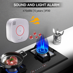 Smart gas leak detector, Wi-Fi system - Tuya Smart Life: Proactive safety and lasting peace of mind. 
