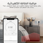 Tuya 16 Amp Smart Plug, Heavy Duty, Wi-Fi, with Power Monitoring and Child Lock