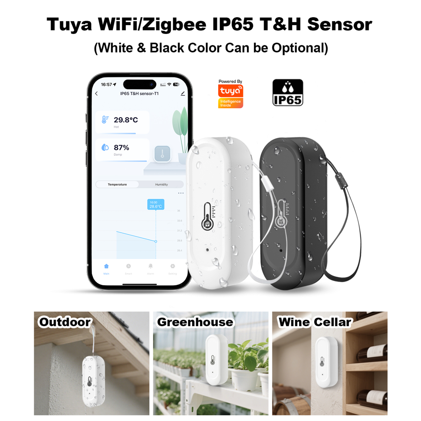Zigbee 3.0 Smart Temperature and Humidity Sensor with IP65 Rating for Indoor and Outdoor Use 