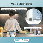 Smart Temperature and Humidity Sensor with Display, External Probe, and Wi-Fi System