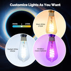 MOES ST64 Smart Edison Bulb - Multicolored with Matter Support and Tuya App