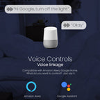 صورة توضيحية من CHAYO للتحكم الصوتي عبر Alexa وGoogle Home