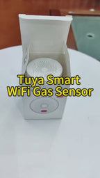 هەستەوەری دزەکردنی گازی سروشتی بە Wi-Fi و پلەگی UK — PST-RQ400A