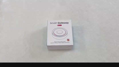 بوابة Zigbee 3.0 السلكية عبر LAN (RJ45) — تدعم Apple Home وTuya