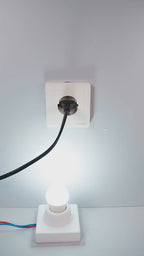 16A Smart Plug, Energy Monitoring, ZIGBEE System - European Design, Compatible with Tuya and Smart Life