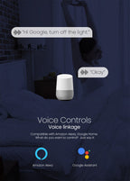 TOSMR1 voice control via Tuya with Amazon Alexa and Google Assistant — manufacturer illustration
